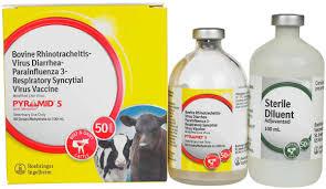 Pyramid 5 (50 Doses) Cattle