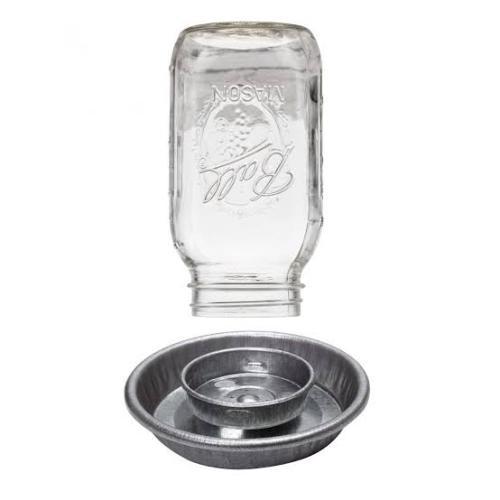 Baby Chick Waterer Mason Jar