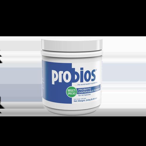 Probios Disper Powder 240Gm