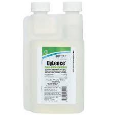 Cylence Pour On Pint