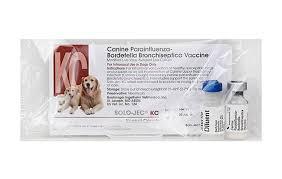 Kennel Cough Vaccine