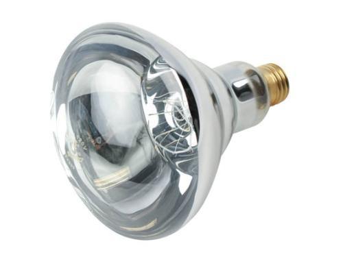 Heat Lamp Clear 250Wt R40