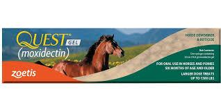 Quest Gel