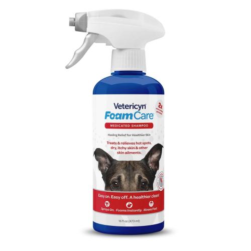 16Oz Foam Care Medicated Shampoo