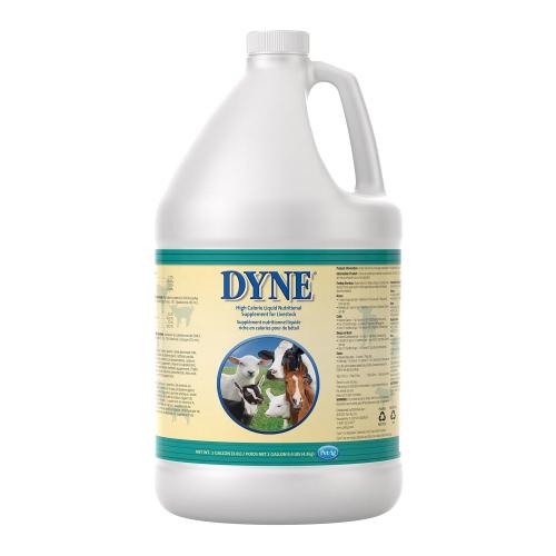 Dyne High Calorie Sup Gallon