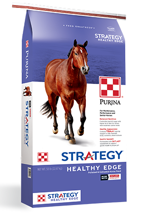 Strategy Healthy Edge