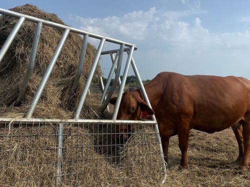 Ranger Gate Co. Single Bale Hay Saver Gen2