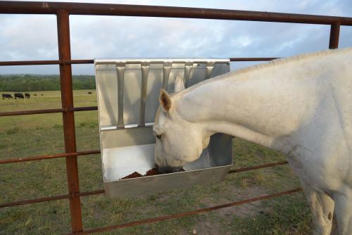 Ranger Gate Co. Feeder Hanging Horse Galv