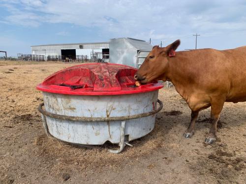 Ranger Gate Co. Feeder Liquid Skid