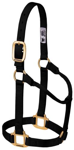 Heavy Duty Nylon Halter, Medium Black