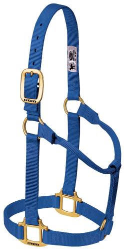 Heavy Duty Nylon Halter Large Blue