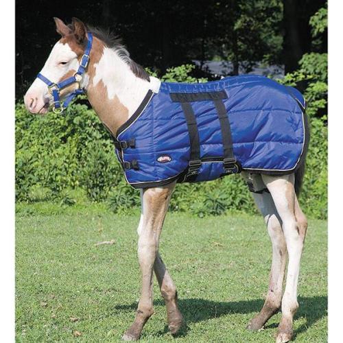 Foal Blanket 420D Blue