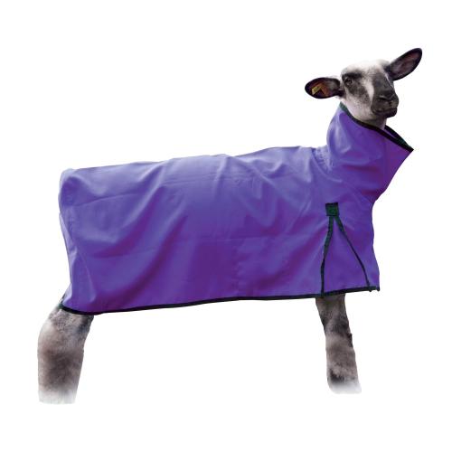 Sheep Blanket, Solid Butt Xs Purple