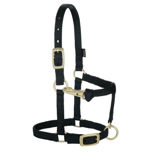 Mini Nylon Halter 5/8" Black