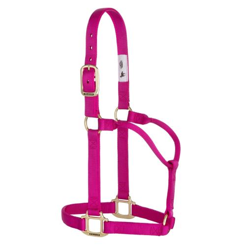 Nylon Halter 1" Large Horse Rasp