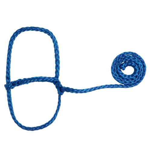 Poly Rope Sheep Halter Blue