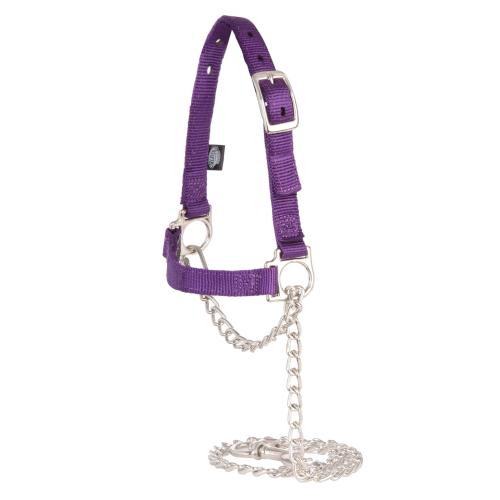 Adj Sheep Halter Purple