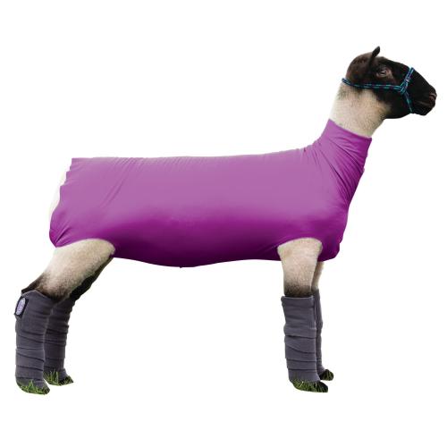 Lg Spandex Sheep Tube  Purple