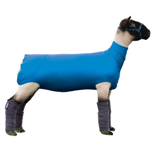 Xlg Spandex Sheep Tube  Blue