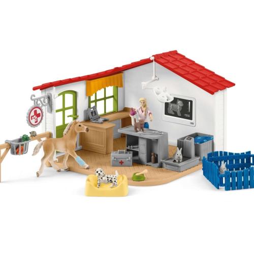 Veterinary Practice With Pets