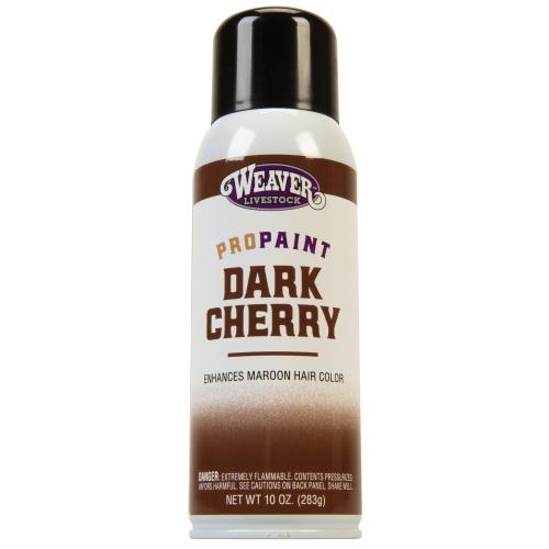 Protouch Dark Cherry Paint