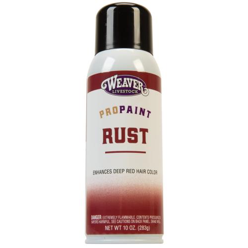 Protouch Rust Paint