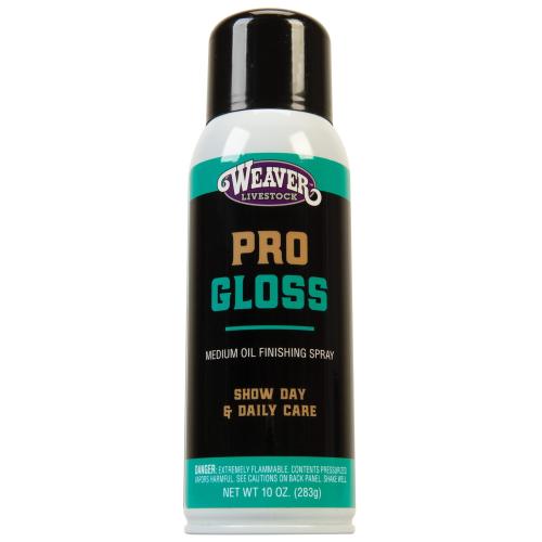 Progloss Finishing Spray 10Oz
