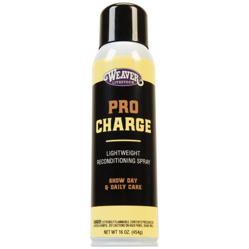 Pro Charge 16Oz