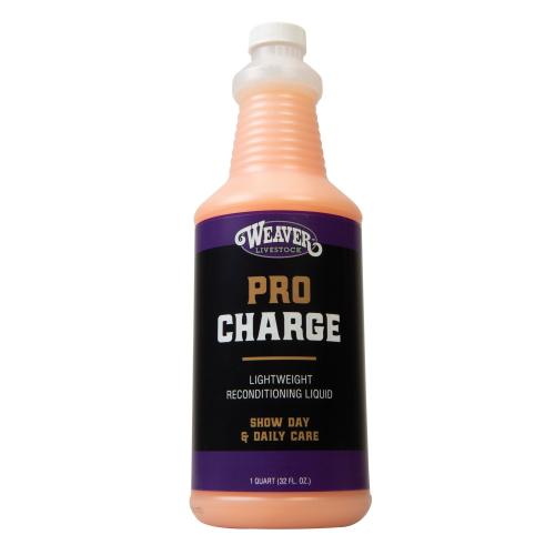 Pro Charge Qt