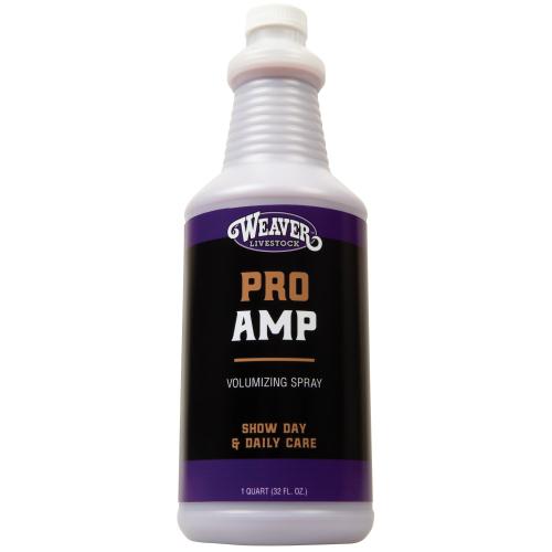 Pro Amp Qt