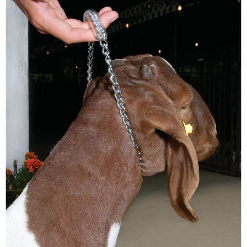 Goat Chain Dol W/Rub Grip 24"