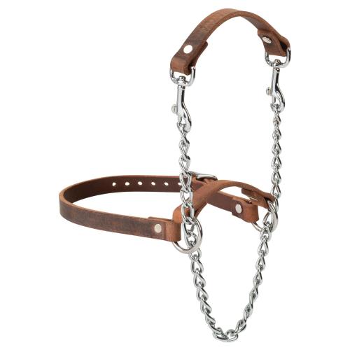 Total Control Goat Halter  Assort Leather