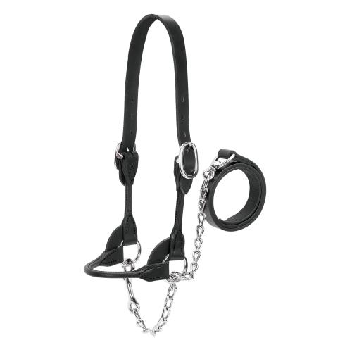 Weaver Xlg Rnd Shw Hltr Blk