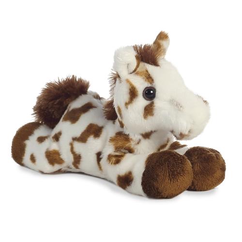 Gypsy Appaloosa Horse