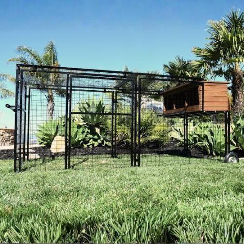 Spring Fling Mobile Chicken Coop