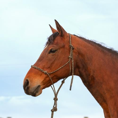 Camo Premium Rope Halter Avg