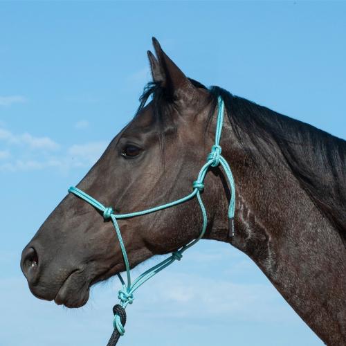 Halter Average Turq