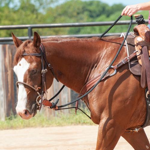 Ph Blk Braided Rein 1/2