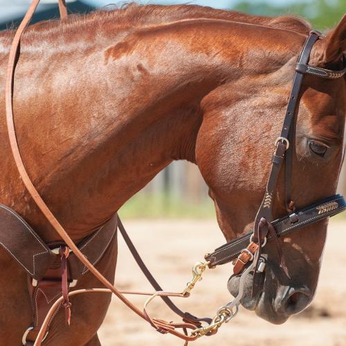 Equibrand Walt 5/8 Roping Rein Harness