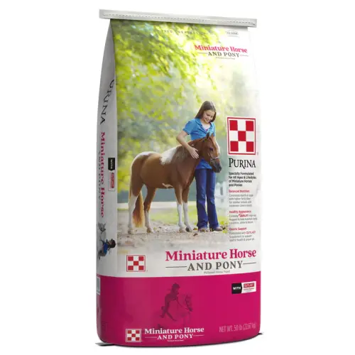 Mini Horse & Pony