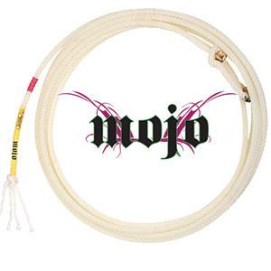 Mojo XS 31'