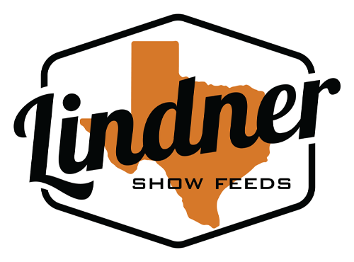 LINDNER FEED