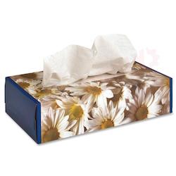 FACIAL TISSUE  BWK6500B 2-PLY 100CT 30/CS 4358966