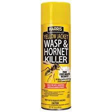 KILLER  CARPENTER BEE & ANT  YELLOW JACKET FOAMING SPRAY 16OZ