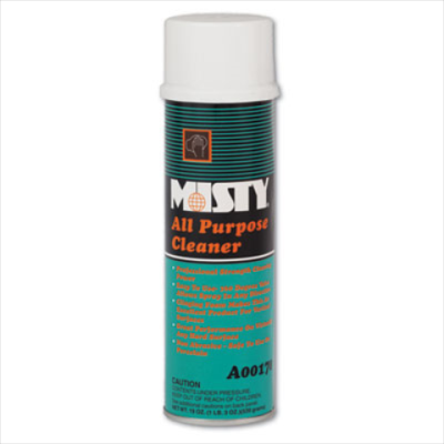 CLEANER  MISTY ALL PURPOSE FOAMING AEROSOL 19OZ 12/CS