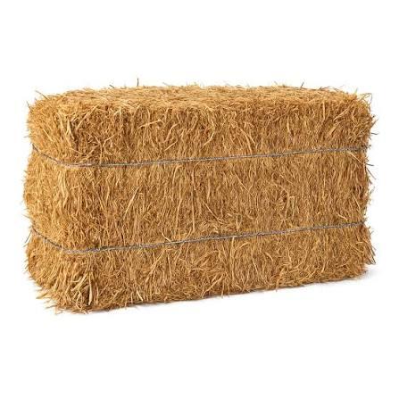Bale of straw