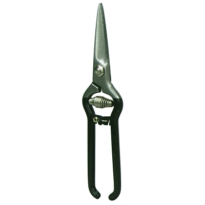 Trimming Thinning and Orchid Snips, Straight Handle, Cuts Straight