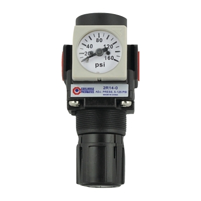 MINI REGULATOR 1/4 NPT 2.0 CFM 160. PSI