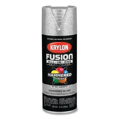 Fusion All-in-One™ Paints + Primers, 12 oz, Aerosol Can, Hammered Silver