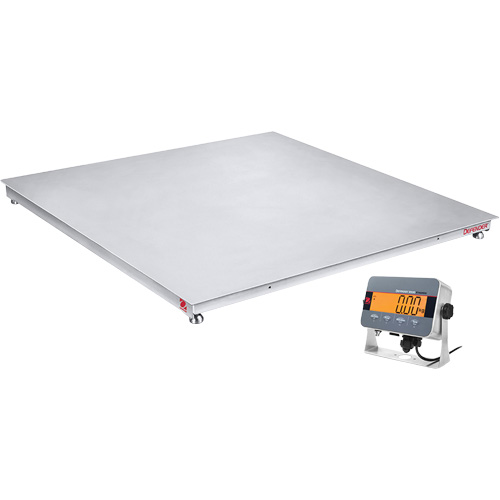 DEFENDER™ 3000 Floor Scale, 2500 lbs. Capacity, 48" W x 48" L
